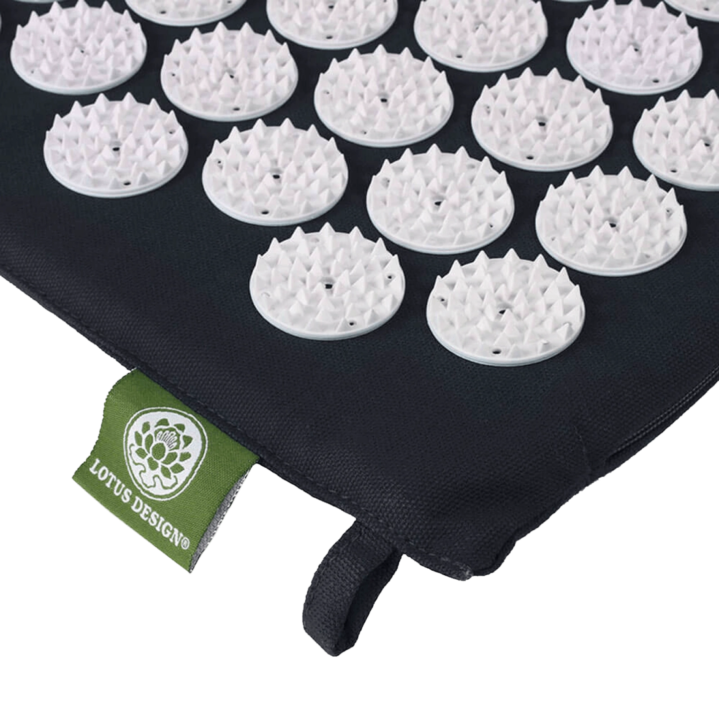 Nálastungudýna   SHAKTI