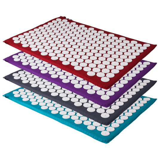 Nálastungudýna   SHAKTI