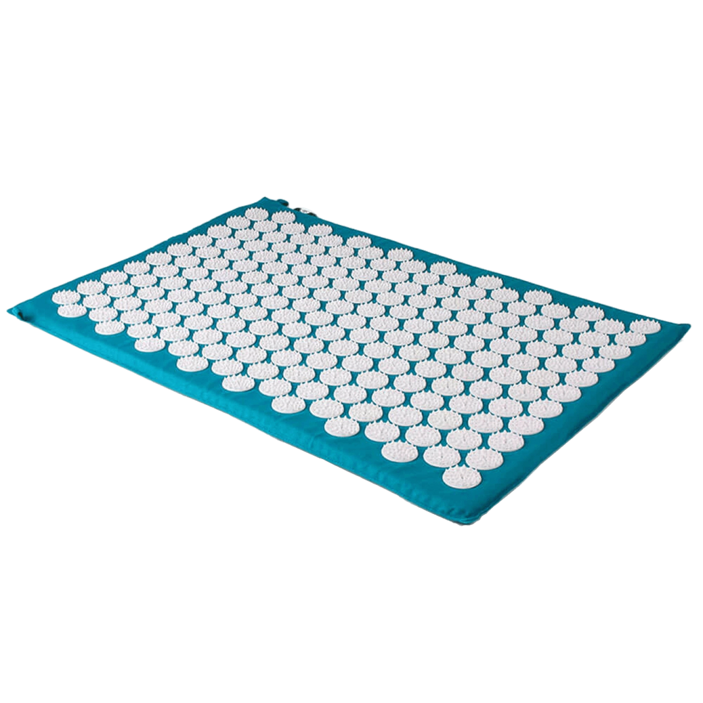 Nálastungudýna   SHAKTI