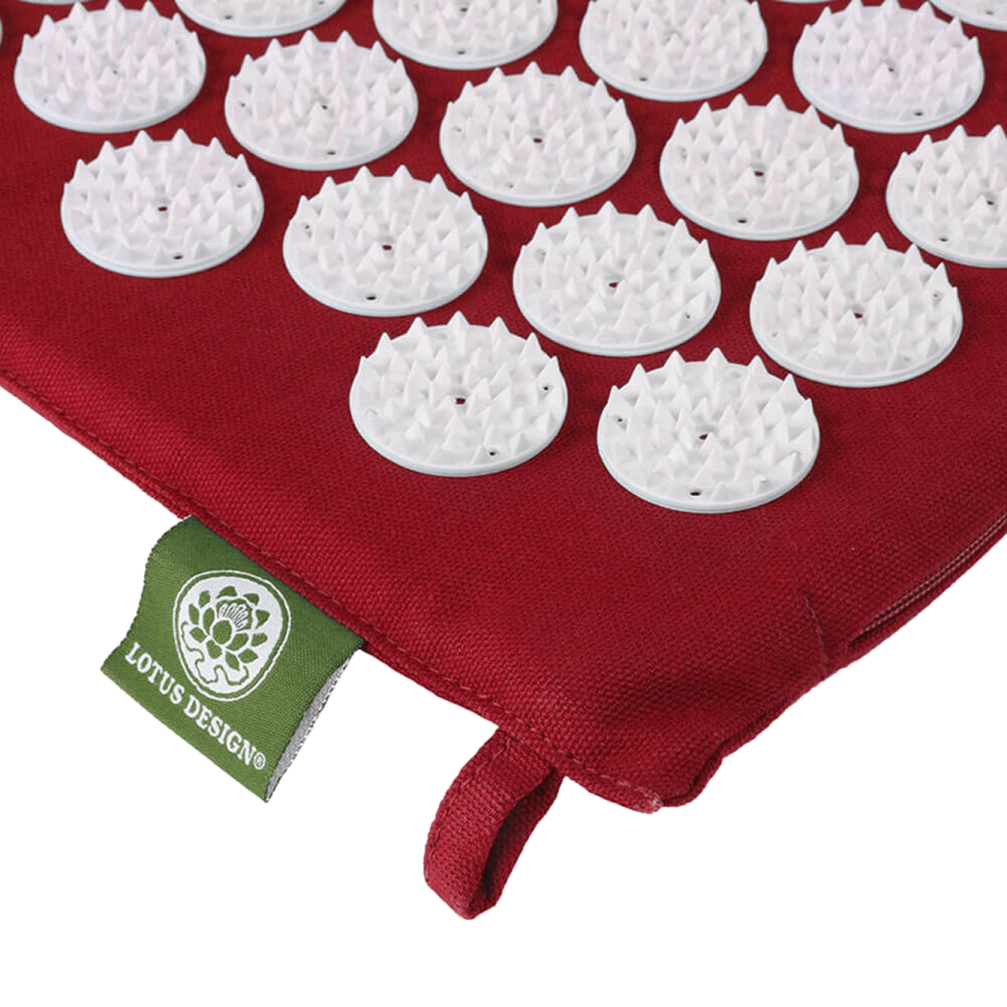 Nálastungudýna   SHAKTI